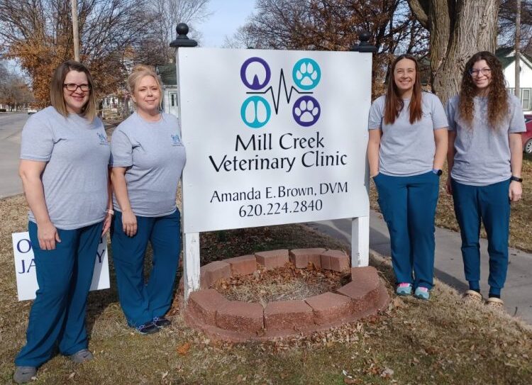 HOME Mill Creek Veterinary Clinic   321091733 561244615618508 2952570036340184580 N E1676040867835 